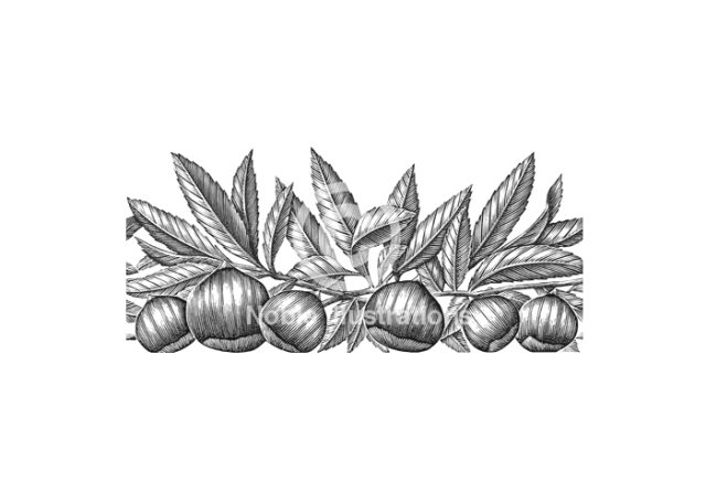 chestnuts  steven noble